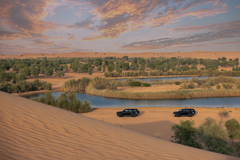 Formation De Fauconnerie Royale Et Safari Dans La Nature