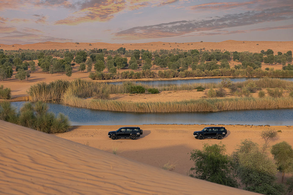 Royal Platinum Oasis